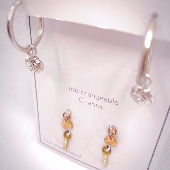 Gold and Silver Interchangeable Earrings Set with Charms - Picture 2 of 8